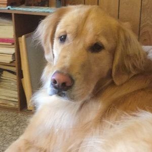 Meet your Posher, April